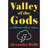 کتاب Valley of the Gods اثر Alexandra Wolfe انتشارات Simon &amp; Schuster