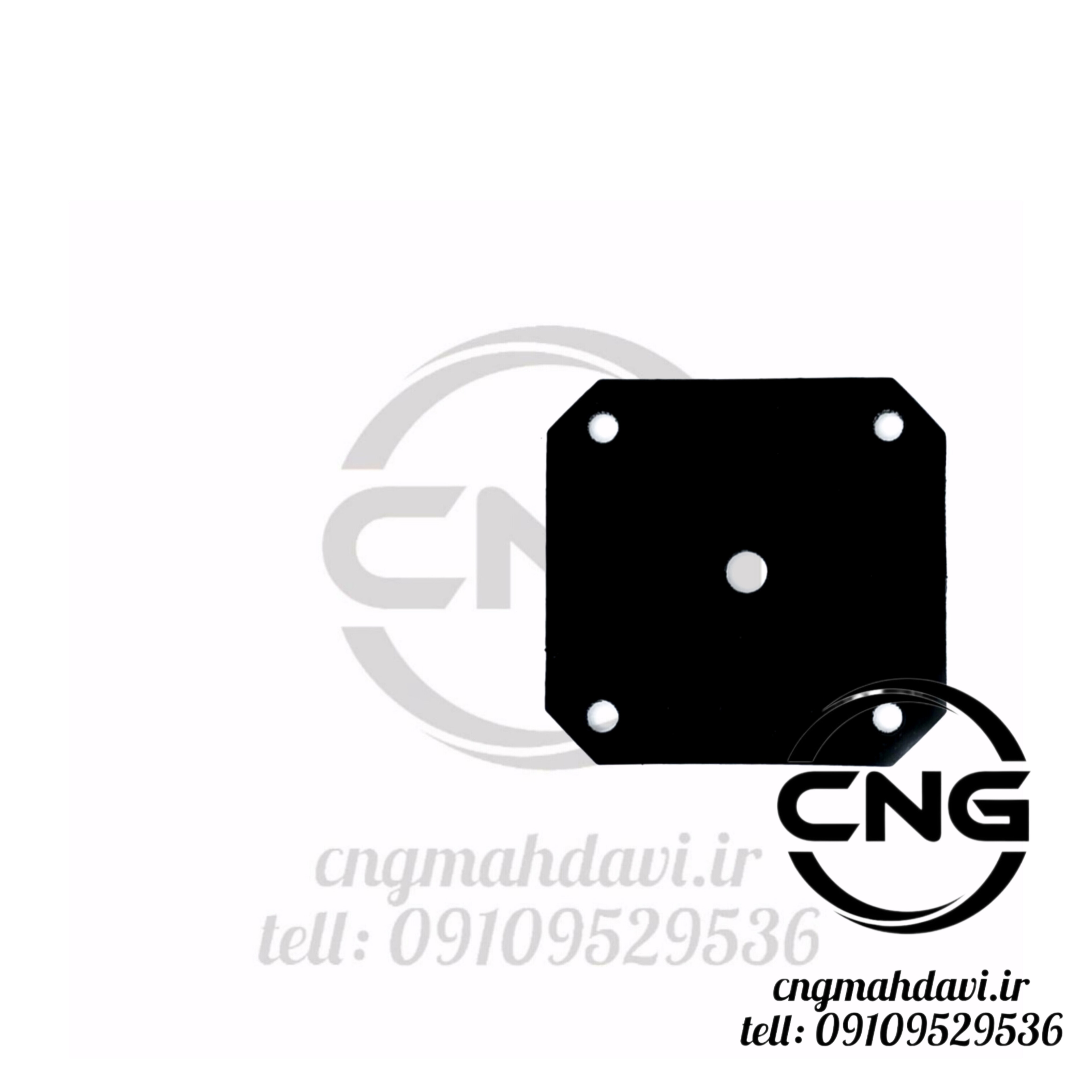 پرده رگلاتور NG1 اصلی | سی ان جی مهدوی