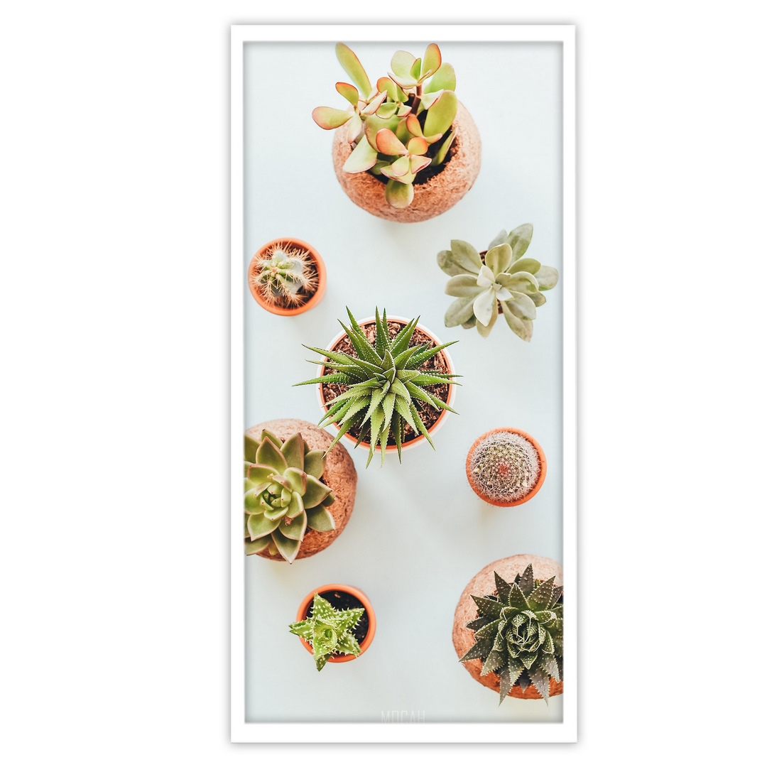 تابلو بکلیت طرح گل کاکتوس مدل W-S3247