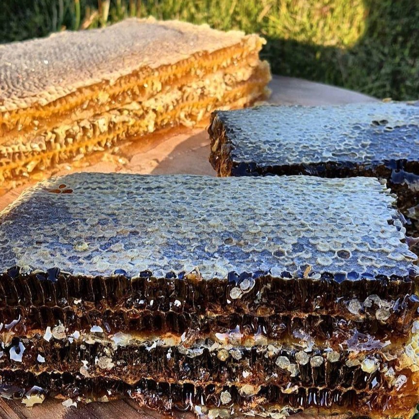 عسل آویشن