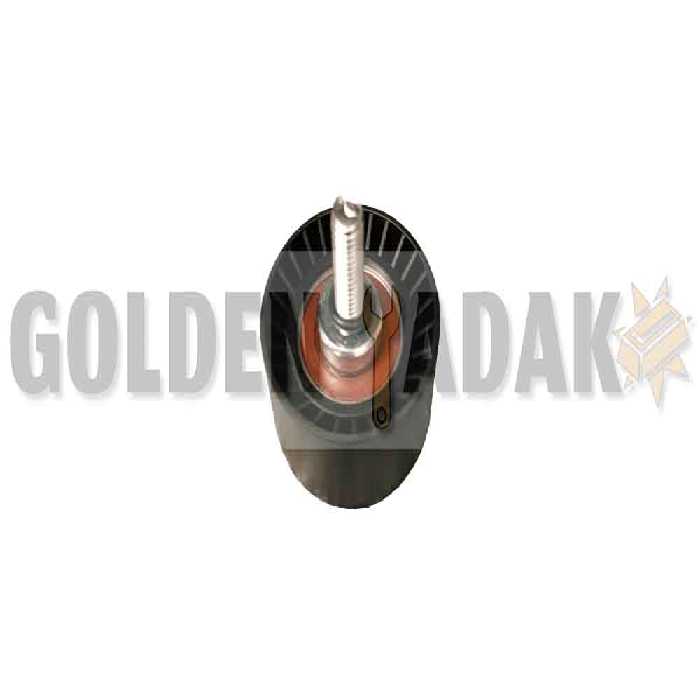 هرزگرد دینام تیگو 5 - گلدن یدک