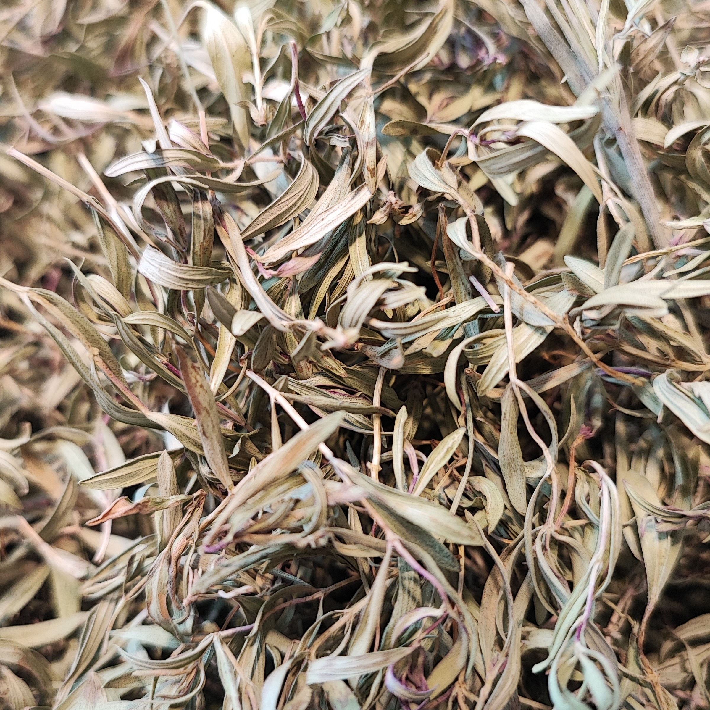 آویشن کوهی خوانساری اعلا 