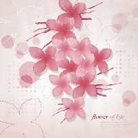 خرید و دانلود عکس ShutterStock-2014-Backgrounds &amp; Textures کد 53180 | پیک فاکس | Pic Fox