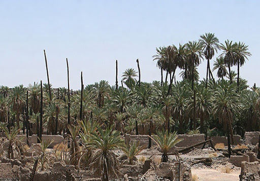 تحقیق راجب باغ فدک