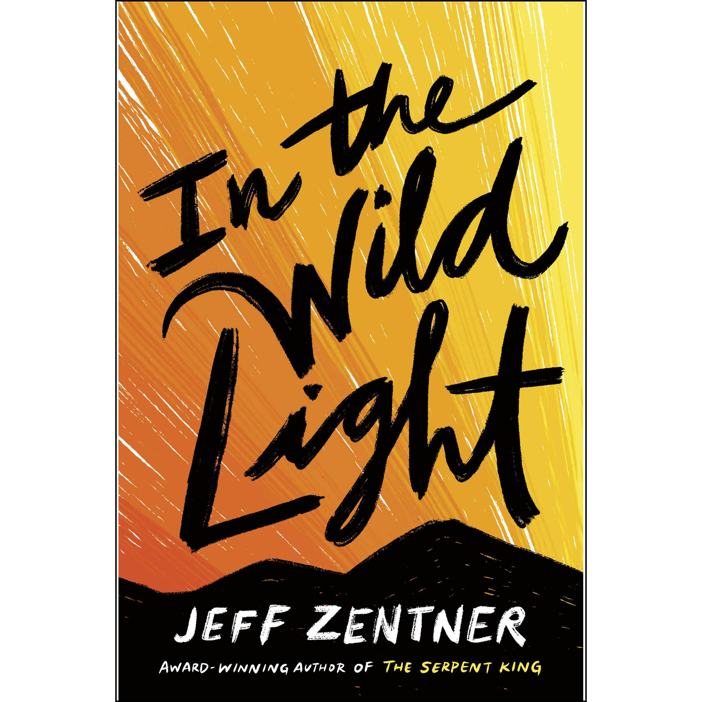 کتاب In the Wild Light اثر Jeff Zentner انتشارات Crown Books for Young Readers