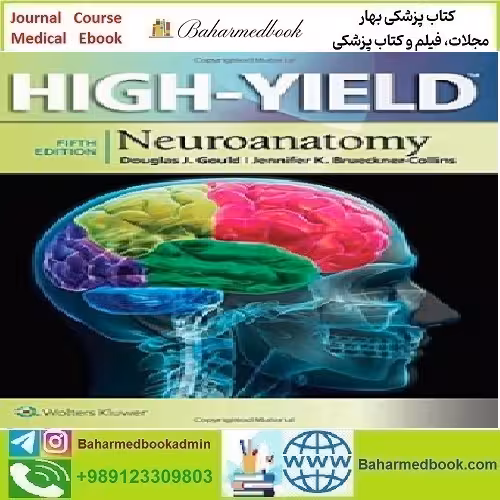 High Yield Neuroanatomy 2016 TRUE PDF price 1€ - کتاب پزشکی بهار