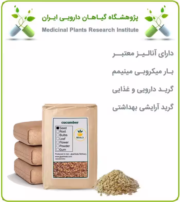 بذر خیار سبز خشک فله
