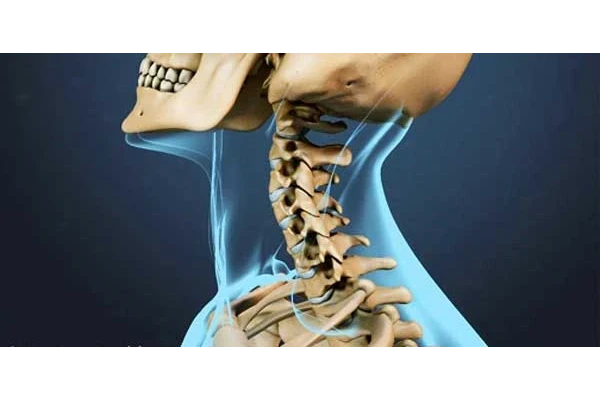 جزوه آناتومی و بیماری های سروگردن در تصویربرداری پزشکی   PDF کتاب آناتومی اسنل - کتابخانه مجازی واتیکان