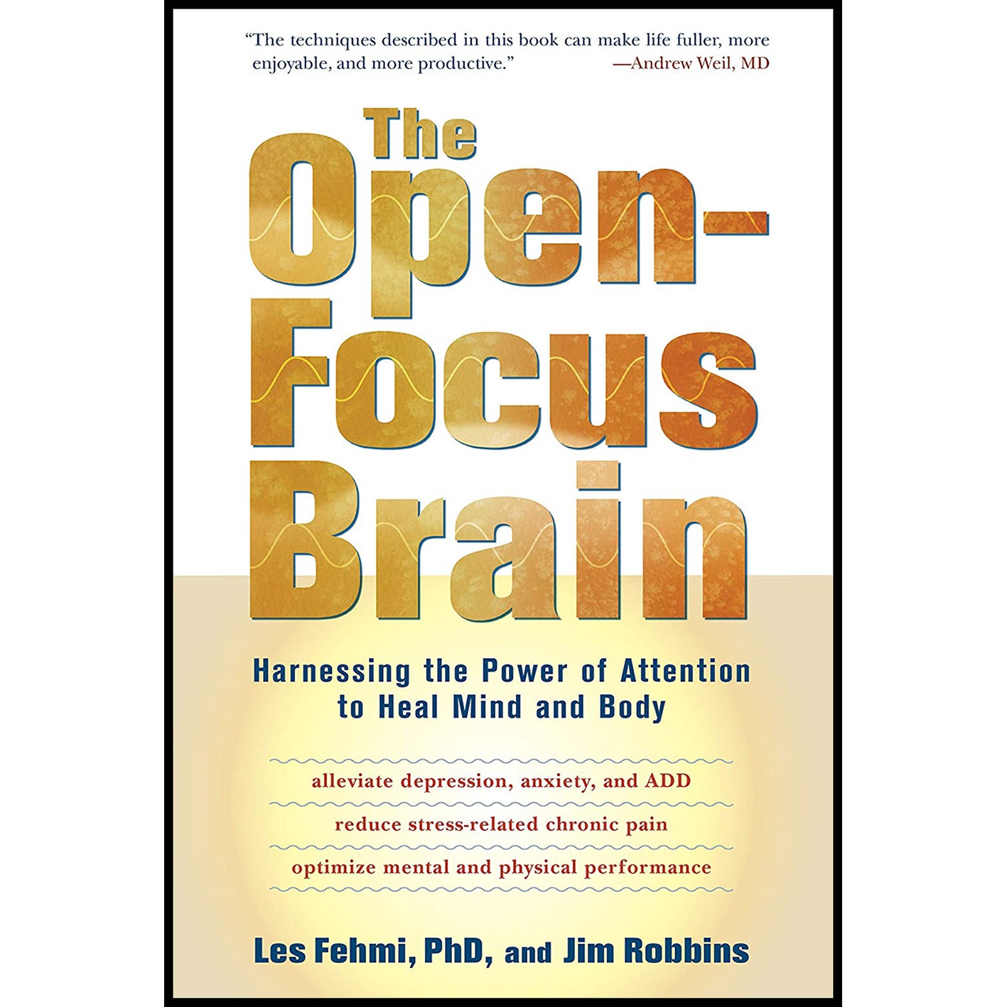 کتاب The Open-Focus Brain اثر Les Fehmi and Jim Robbins انتشارات Trumpeter