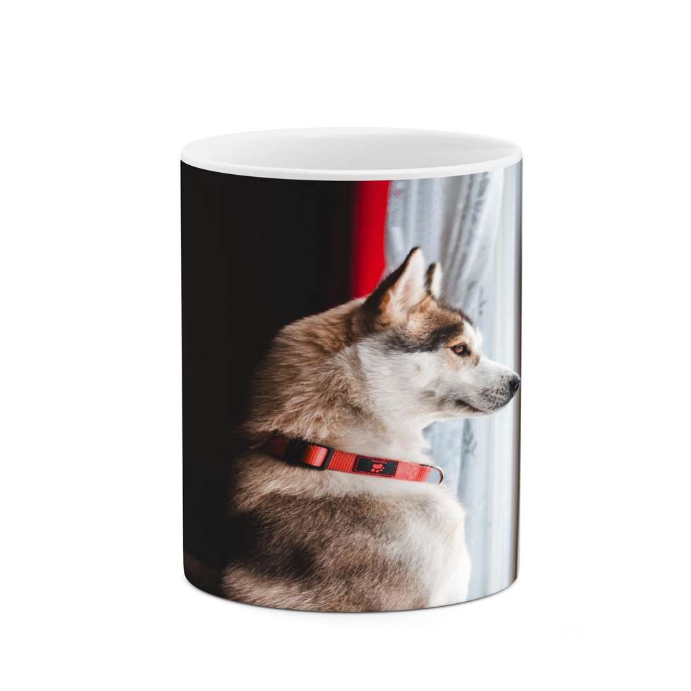 ماگ کاکتی طرح سگ مدل mgs16551