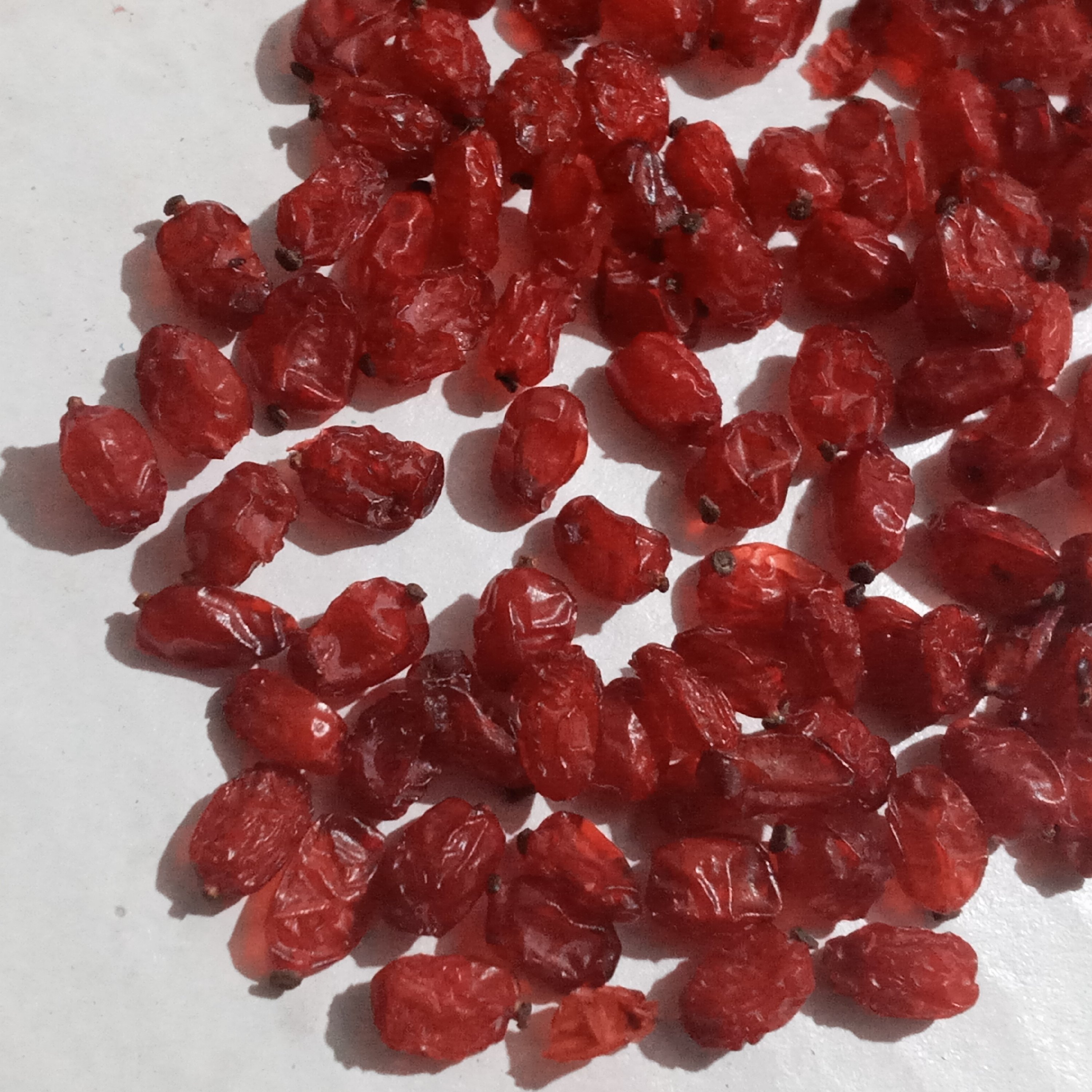 زرشک پفکی درجه یک محصول خاص قائنات بسته یک کیلویی