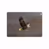 برچسب پوششی ماهوت مدل Eagle مناسب برای تبلت اپل iPad Air 2013 A1474