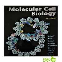 Molecular Cell Biology 2021 اندیشه رفیع - سیب ترش - SibTorsh