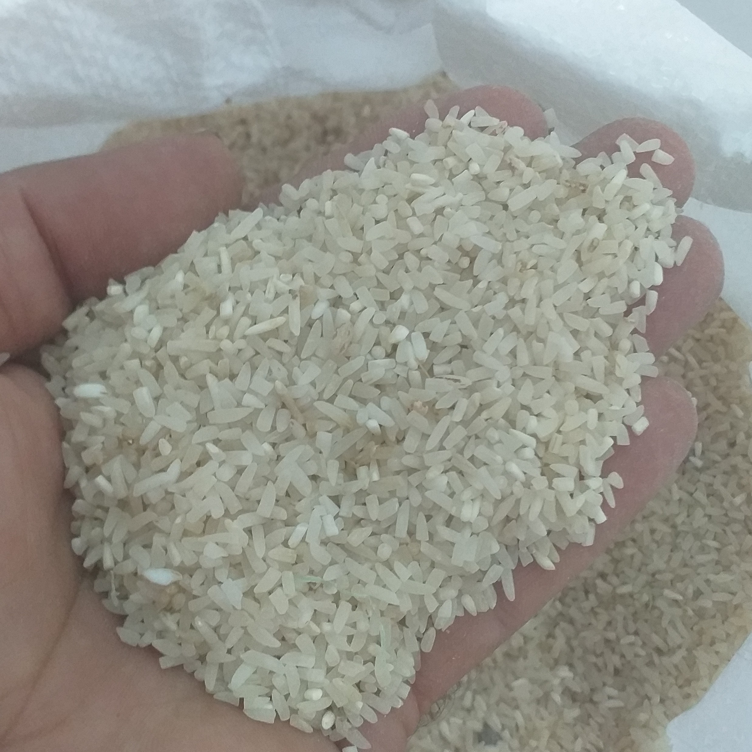 سرلاشه عطری درجه یک (5 کیلو)