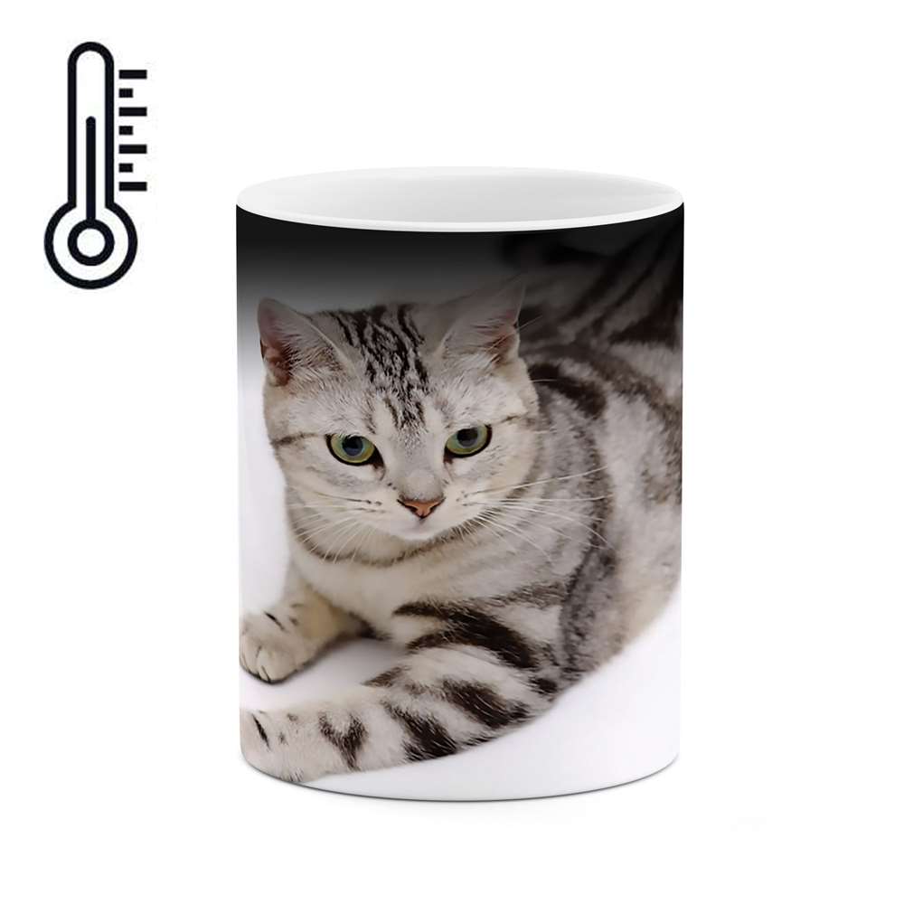 ماگ حرارتی طرح گربه مدل mgh01769