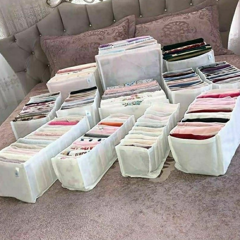 ارگانیزر نظم دهنده لباس