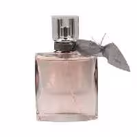 عطر جیبی لاو است بل برند envy ان وی 25 میل