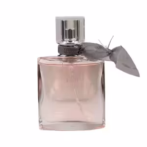 عطر جیبی لاو است بل برند envy ان وی 25 میل
