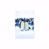 برچسب پوششی ماهوت مدل Penguin مناسب برای تبلت سامسونگ Galaxy Tab 7.7 2011 P6800