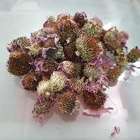 سرخار گل  250 گرم اکیناسه، اکیناشا 