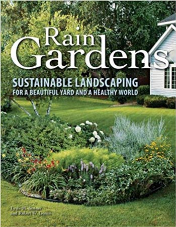 󾕇 دانلود کتاب Rain Gardens Sustainable Landscaping for a Beautiful Yard and a Healthy World - دانلود کتاب های دانشگاهی