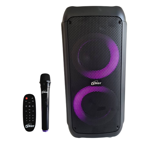 اسپیکر پارتی باکس ویکر مدل T166F