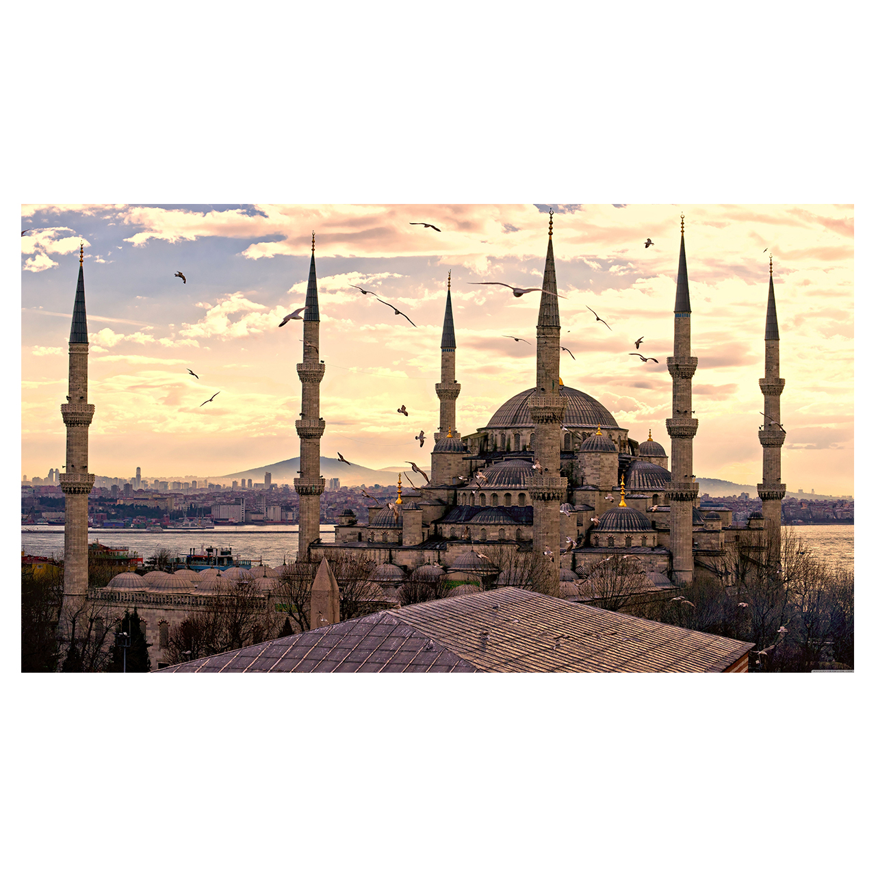 تابلو شاسی مدل Turkey