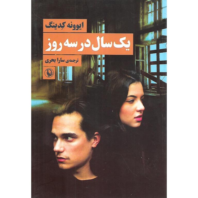 یک سال در سه روز