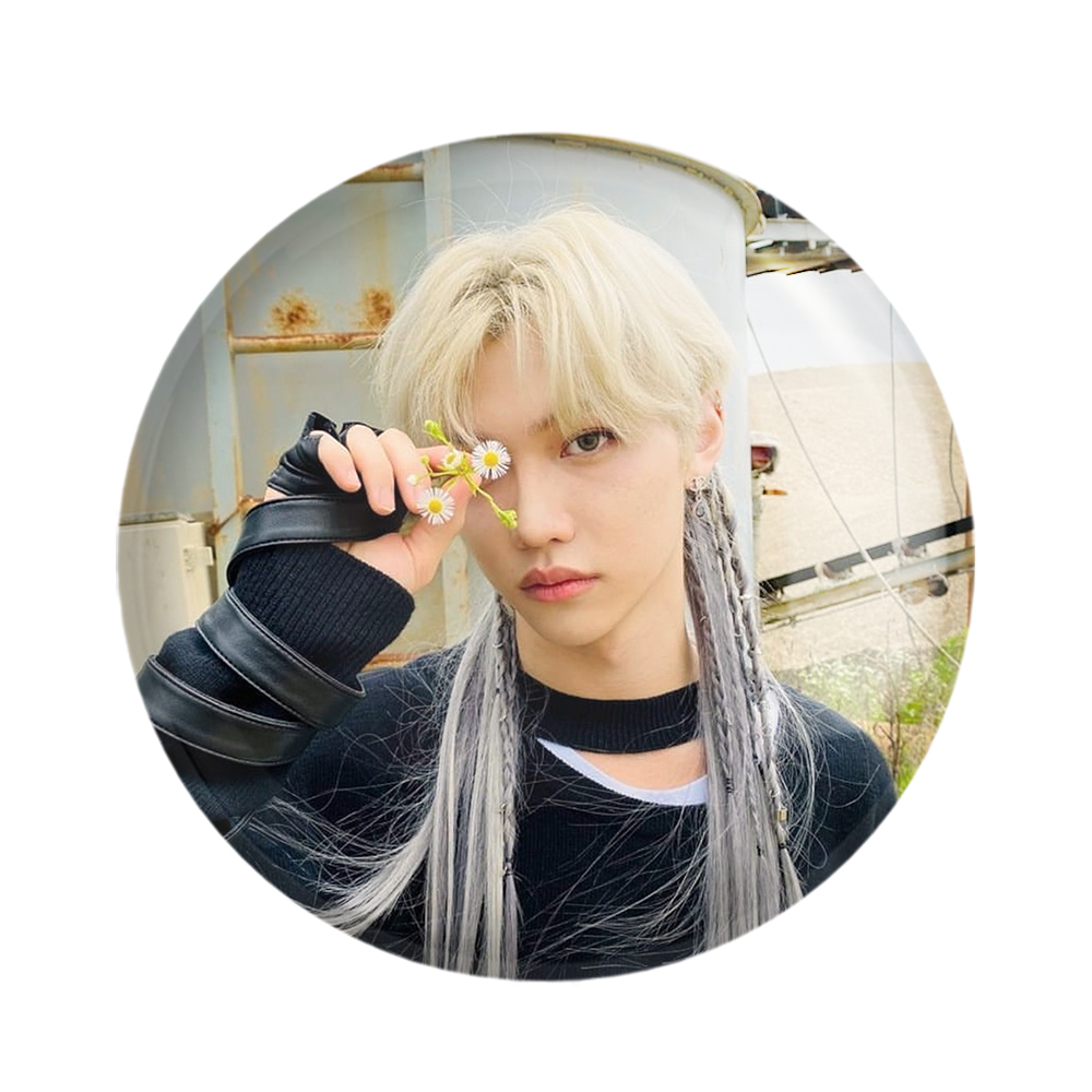 پیکسل خندالو مدل فلیکس گروه استری کیدز Stary Kids کد 16946