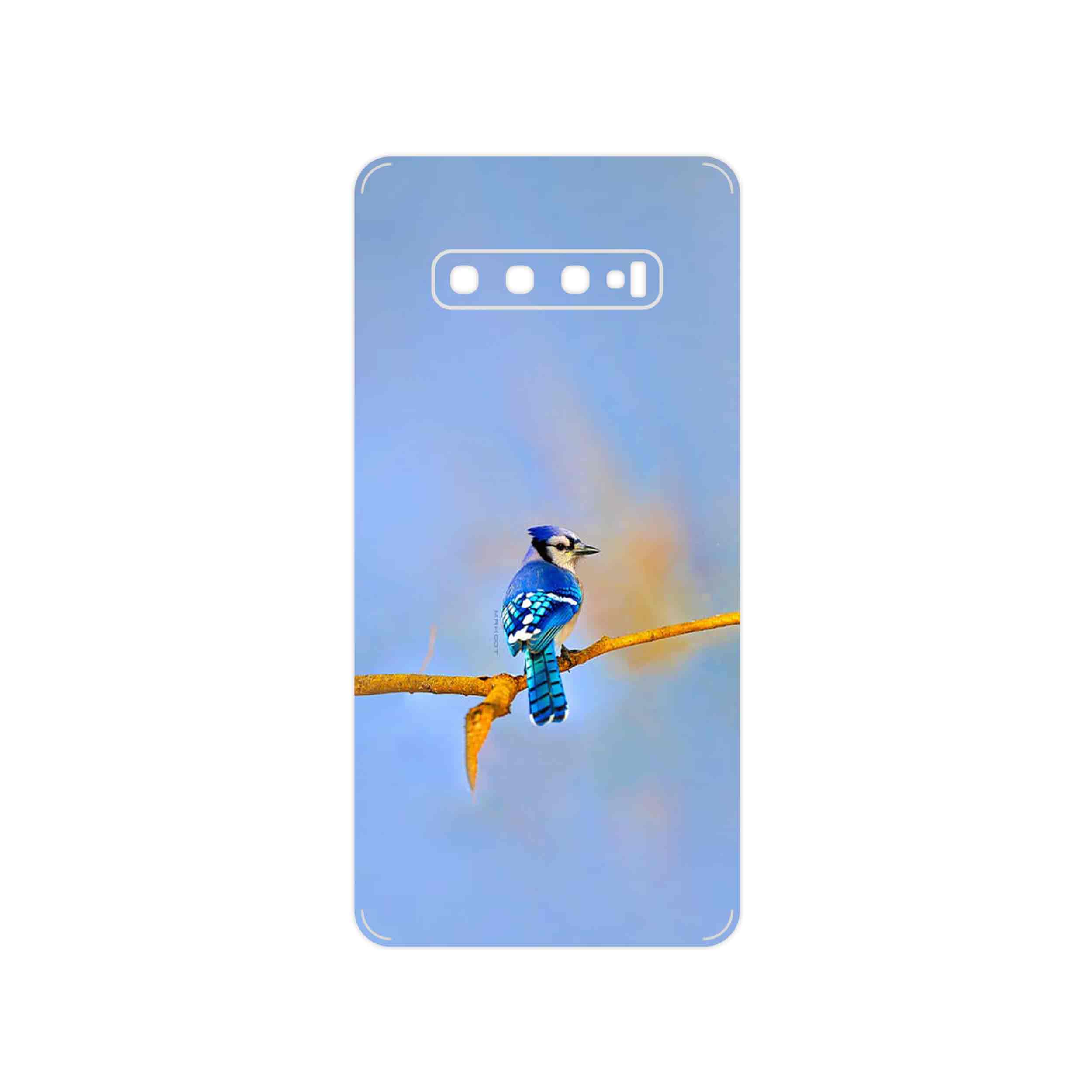 برچسب پوششی ماهوت مدل Cyanocitta cristata مناسب برای گوشی موبایل سامسونگ Galaxy S10 Plus