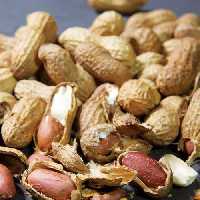 بادام زمینی ممتاز غلاف دار آستانه اشرفیه بسته بندی یک کیلوگرمی شالیزارصادق 