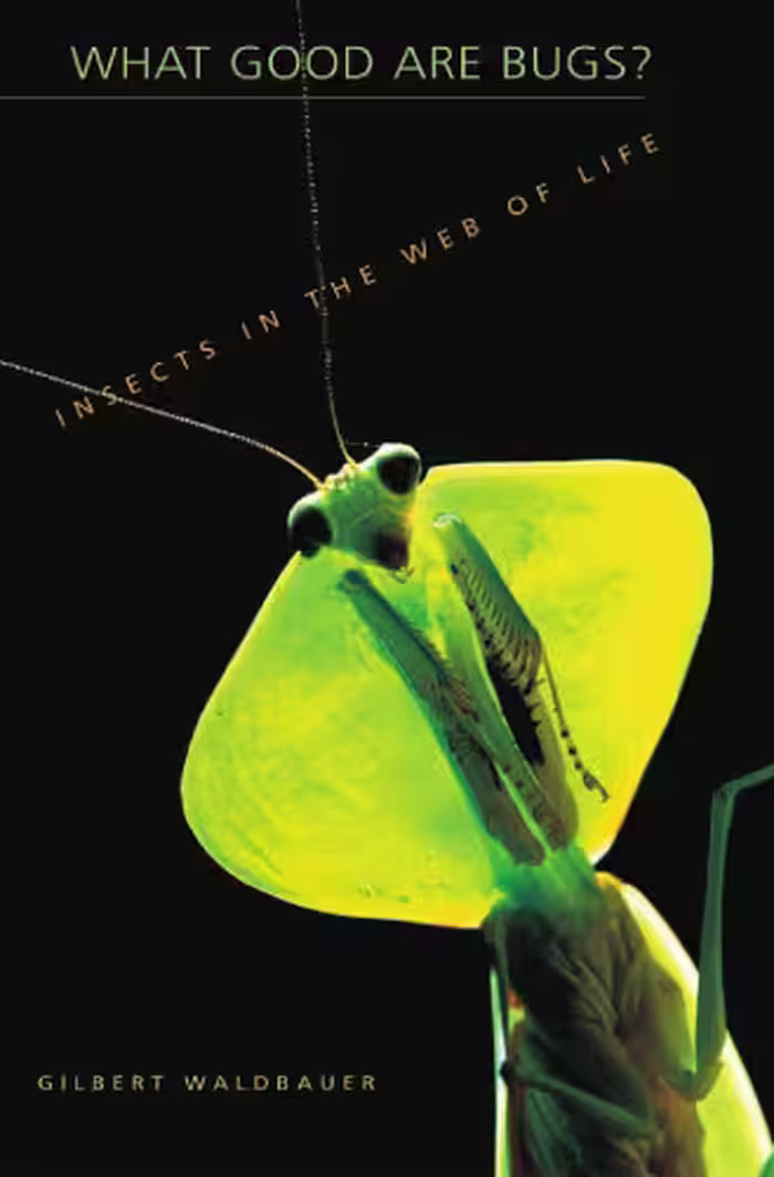 خرید و دانلود نسخه کامل کتاب What Good Are Bugs?: Insects in the Web of Life