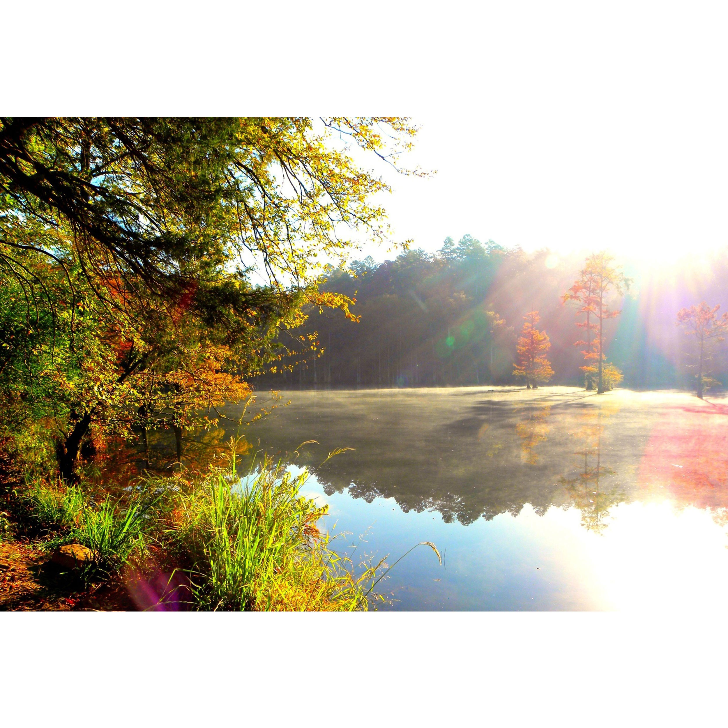 تابلو شاسی مدل دریا و جنگل و افتاب T7159