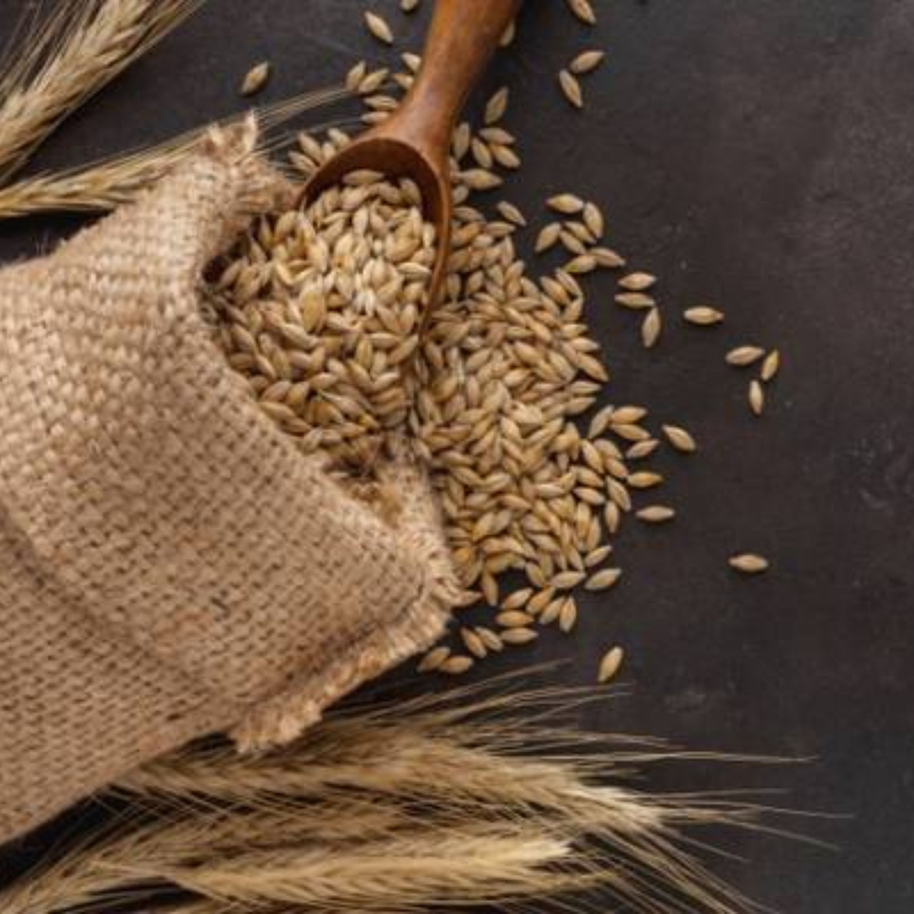 روغن جوانه گندم اصل 20 سی.سی