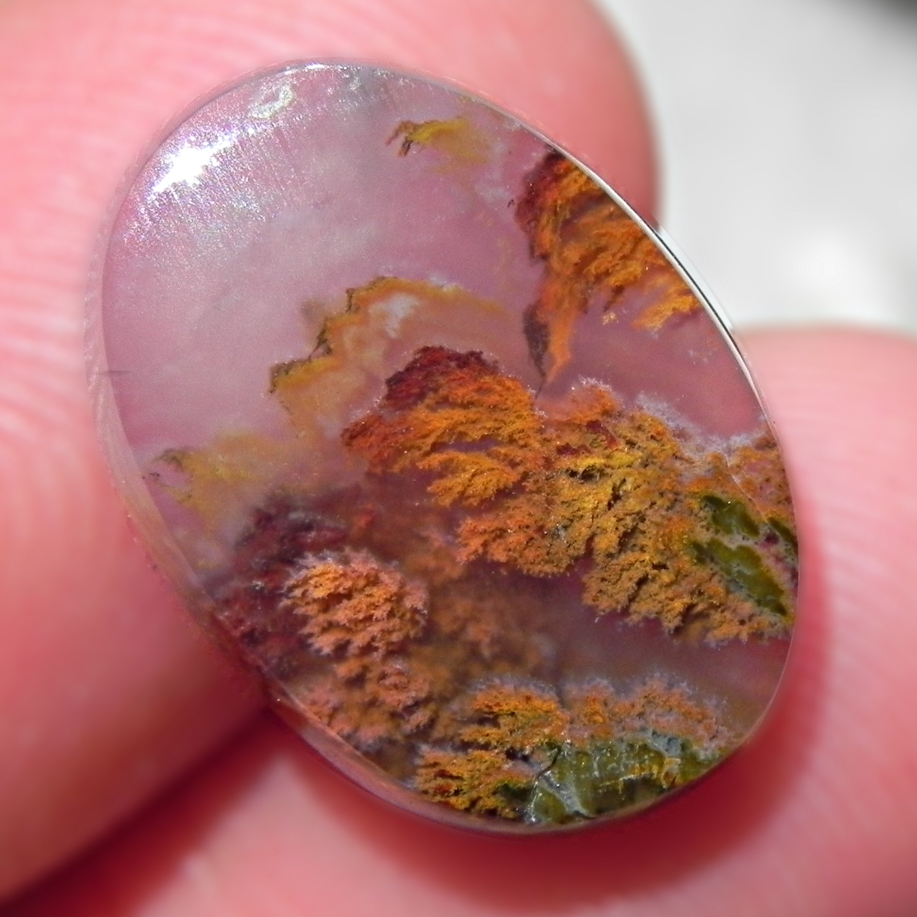 نگین شجر بی نظیر درختی رنگی آکواریومی دریایی مناسب انگشتری گردنی4