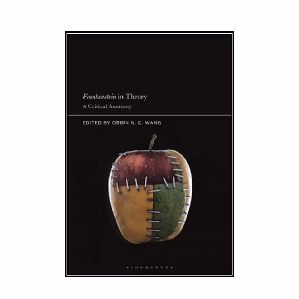 کتاب Frankenstein in Theory: A Critical Anatomy اثر Orrin N. C. Wang انتشارات مولفین طلایی 
