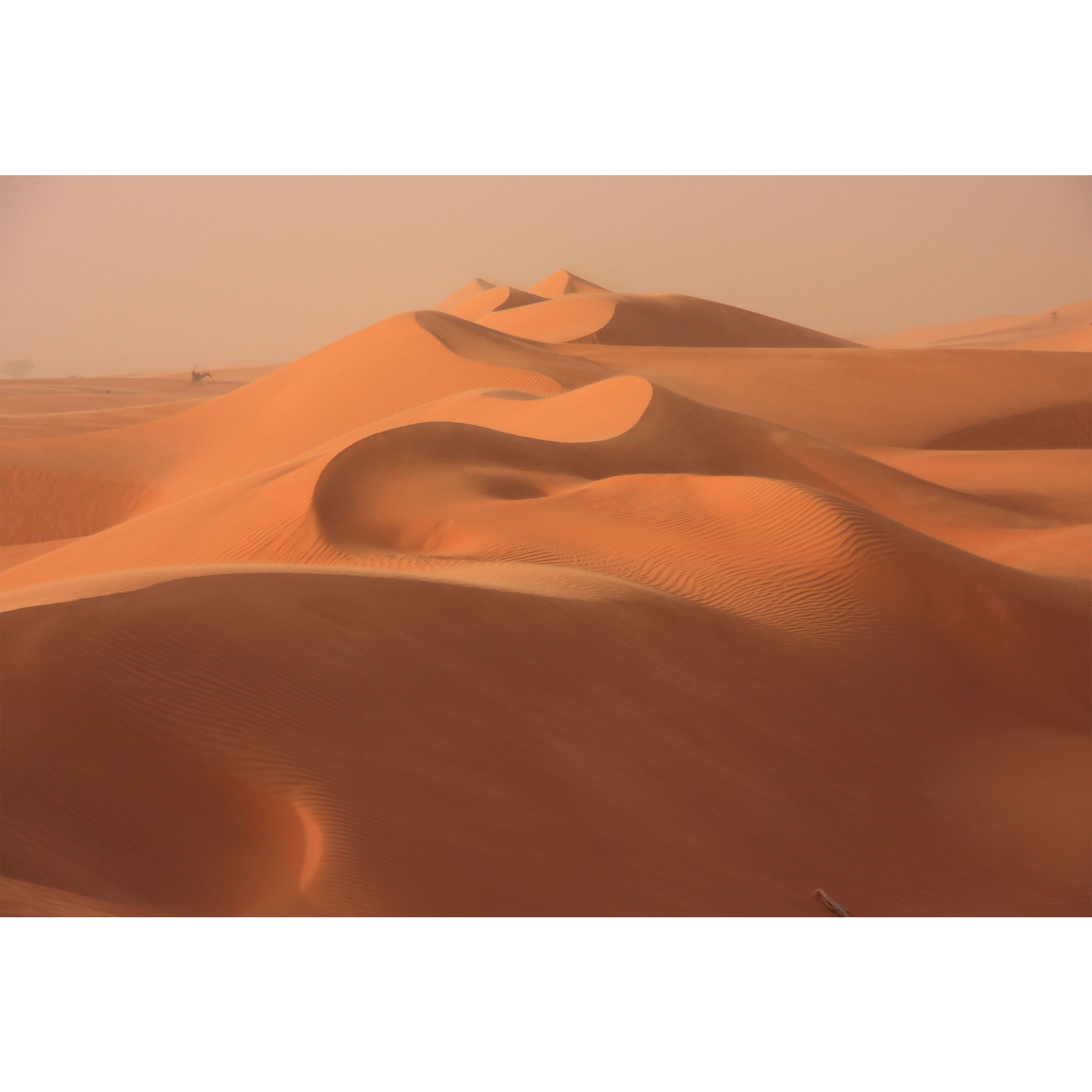 تابلو شاسی مدل بیابان T6921