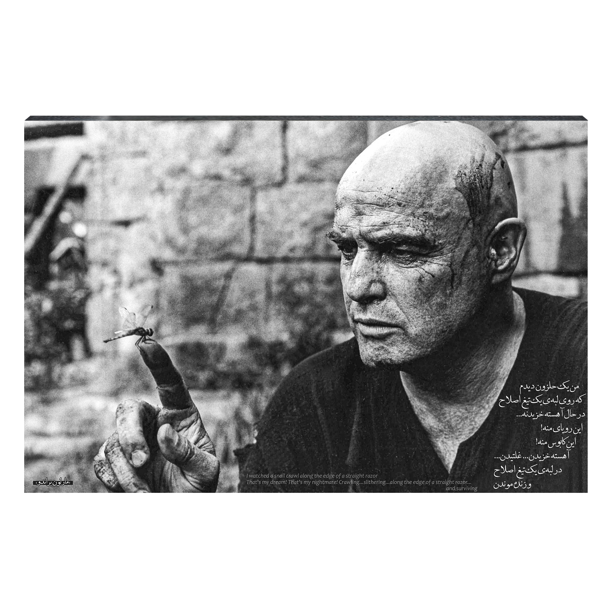 تابلو شاسی مدل مارلون براندو کد S03