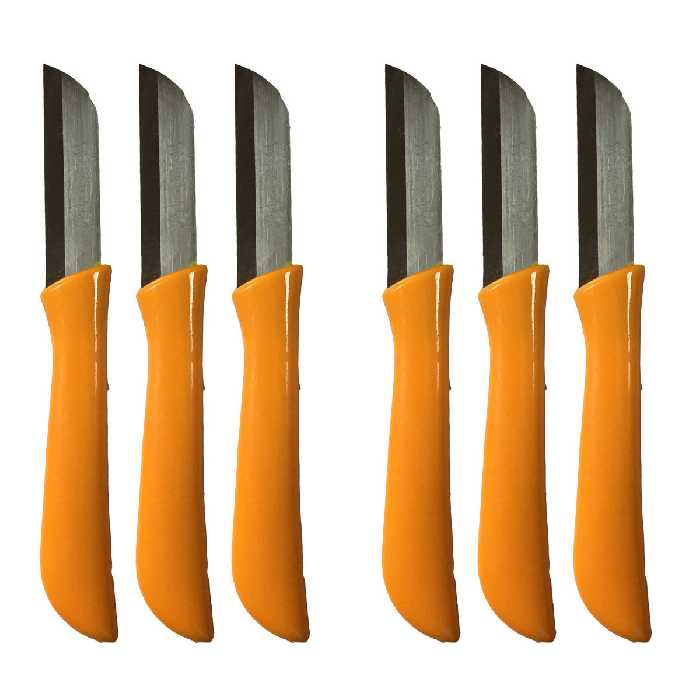 کارد میوه خوری فردینوکس مدل سرآشپز بسته 6 عددی