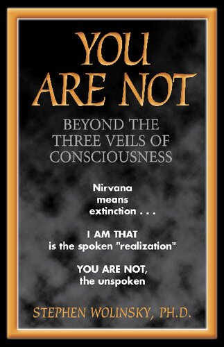 خرید و دانلود نسخه کامل کتاب You Are Not: Beyond the Three Veils of Consciousness - PDF
