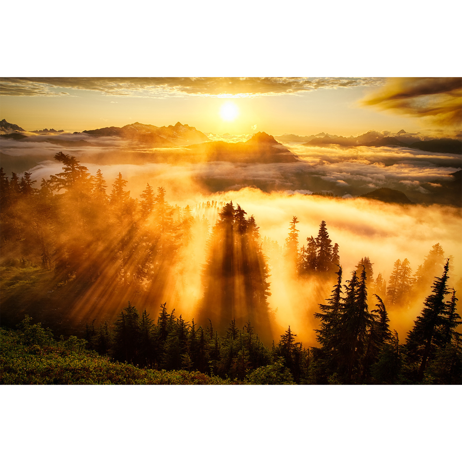 تابلو شاسی طرح طبیعت آرامش بخش کد 265