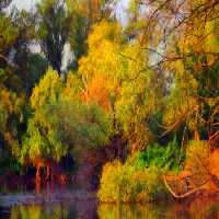 خرید و دانلود عکس Nature-Part-22 کد 36122 | پیک فاکس | Pic Fox