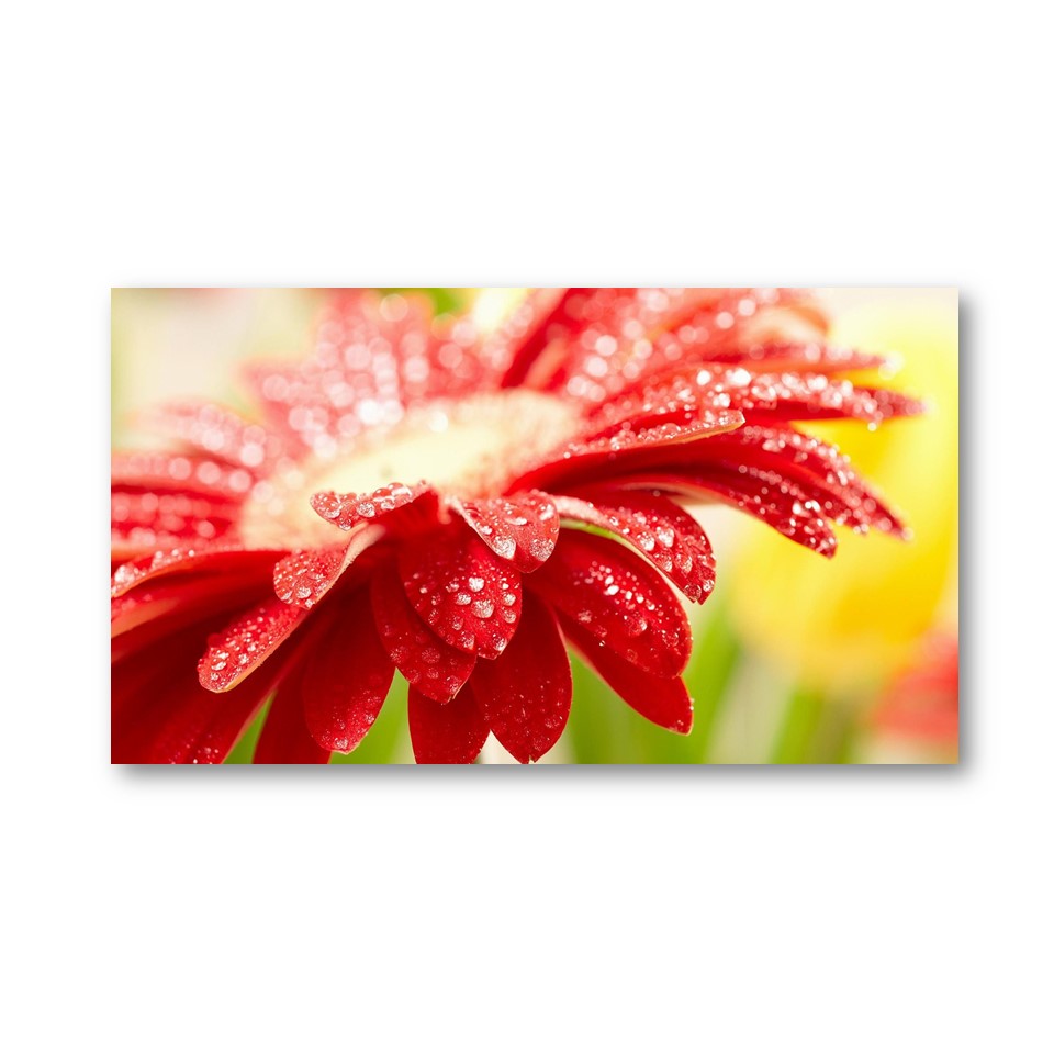 تابلو شاسی طرح گل کد 18