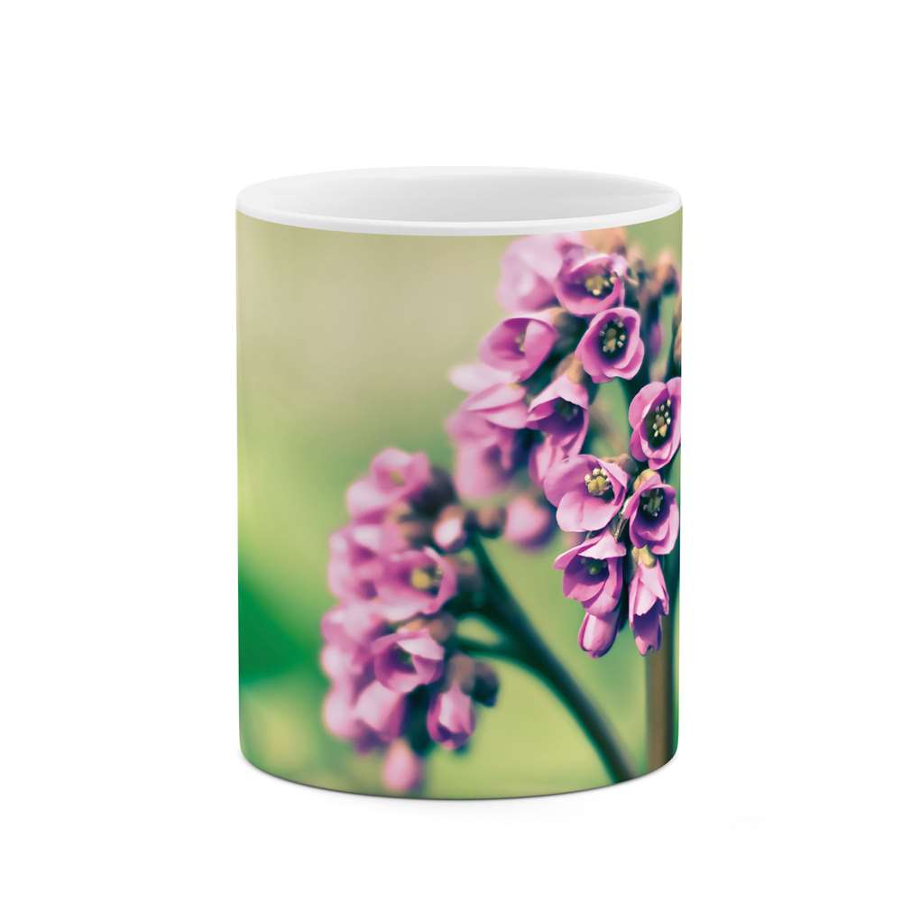 ماگ طرح شکوفه گل مدل mgs06786