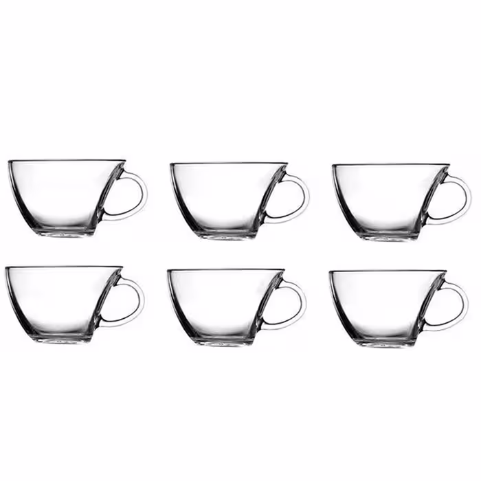 فنجان پاشاباغچه مدل Penguen کد 55611 بسته 6 عددی 