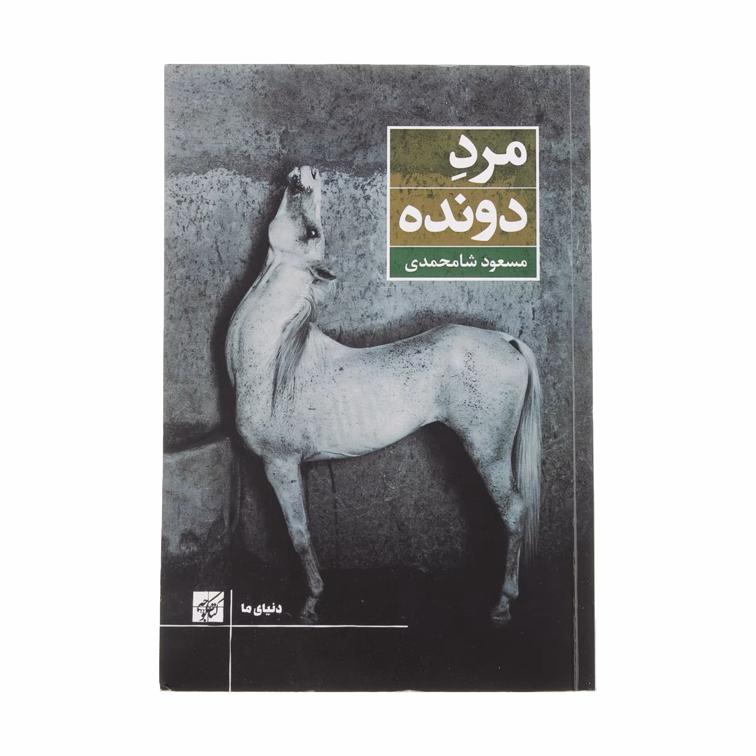 کتاب مرد دونده اثر مسعود شامحمدی انتشارات کتاب کوچه