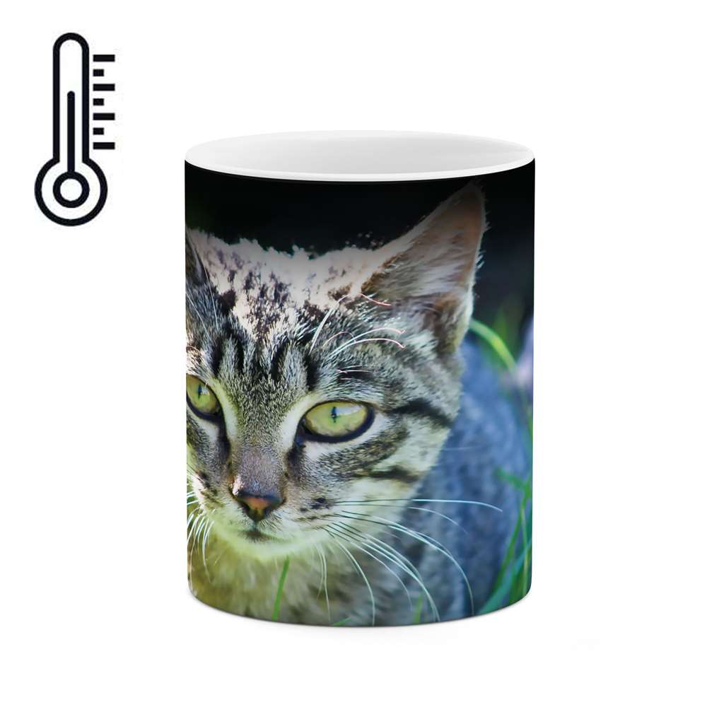 ماگ حرارتی طرح گربه مدل mgh01695