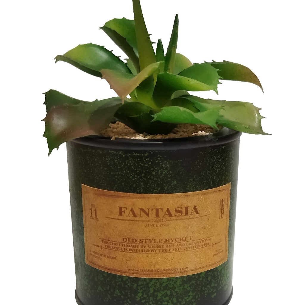 گلدان قوطی فلزی کاکتوس کد 45208