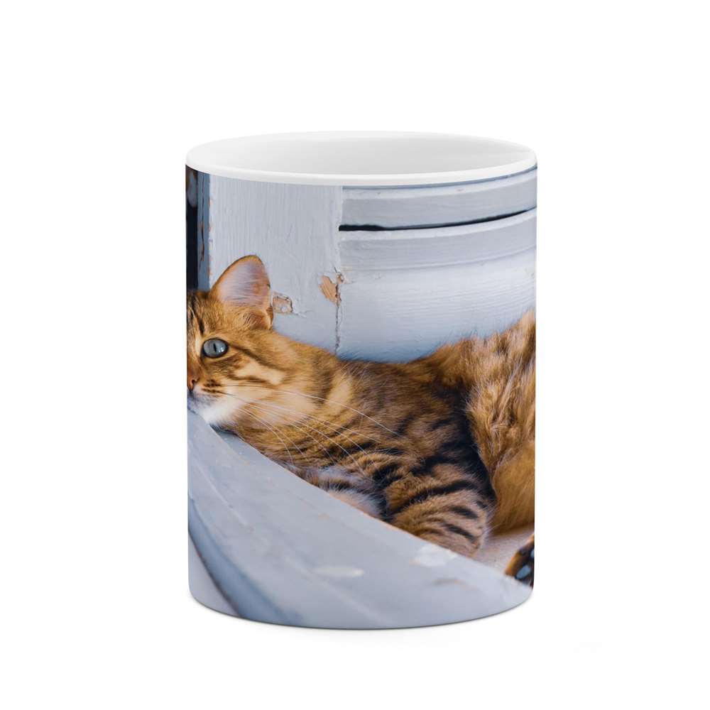 ماگ کاکتی طرح گربه مدل mgs14639