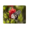 ماوس پد طرح پروانه و گل مدل T8068